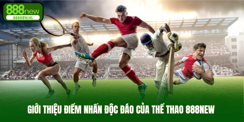 Giới thiệu điểm nhấn độc đáo của thể thao 888new